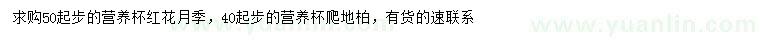 求购50公分以上红花月季、40公分以上爬地柏