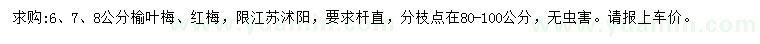 求购6、7、8公分榆叶梅、红梅