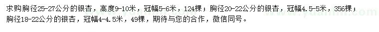 求购胸径18-22、20-22、25-27公分银杏