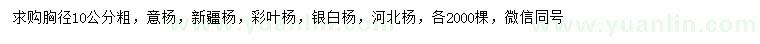 求购意杨、新疆杨、彩叶杨等