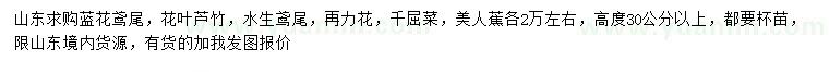 求购蓝花鸢尾、花叶芦竹、水生鸢尾等