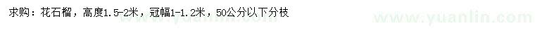 求购高1.5-2米花石榴