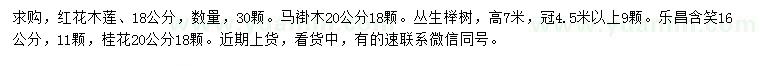 求购红花木莲、马褂木、丛生榉树等