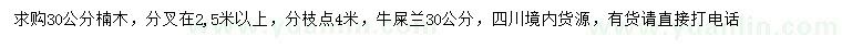 求购30公分楠木、牛屎兰