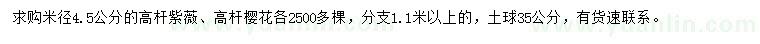 求购米径4.5公分高杆紫薇、高杆樱花