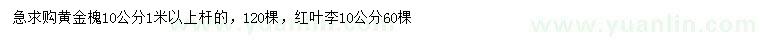 求购10公分黄金槐、红叶李