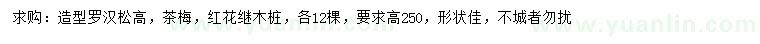 求购造型罗汉松、茶梅、红花继木桩