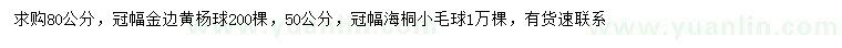 求购冠幅80公分金边黄杨球、50公分海桐小毛球