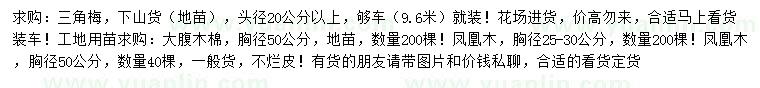 求购三角梅、大腹木棉、凤凰木