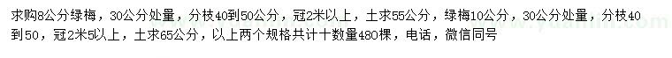 求购30公分量8、10公分绿梅