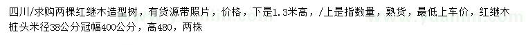 求购高1.3米红继木造型树、米径38公分红继木桩头