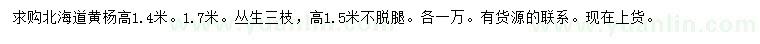 求购高1.4、1.7米北海道黄杨