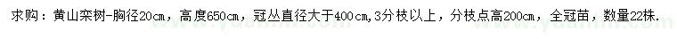 求购胸径20公分黄山栾