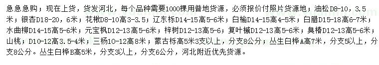 求购油松、银杏、花楸等