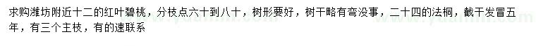 求购12公分红叶碧桃、24公分法桐