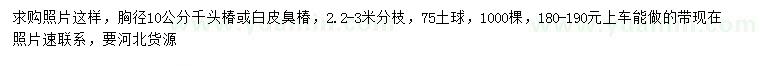 求购胸径10公分千头椿、白皮臭椿