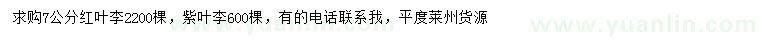 求购7公分红叶李、紫叶李