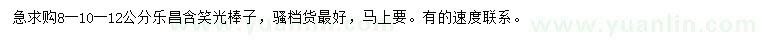 求购8、10、12公分乐昌含笑