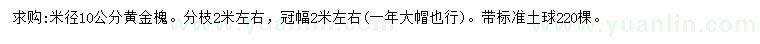求购米径10公分黄金槐
