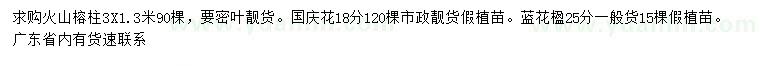求购火山榕柱、国庆花、蓝花楹