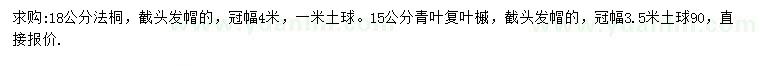 求购18公分法桐、15公分青叶复叶槭