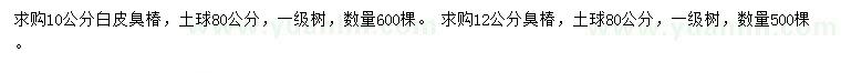 求购10公分白皮臭椿、12公分臭椿