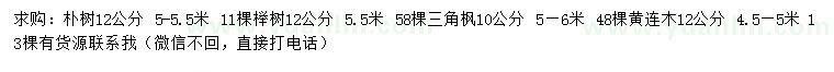 求购朴树、榉树、三角枫等