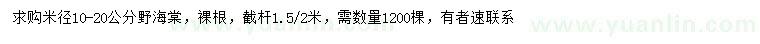 求购米径10-20公分野海棠