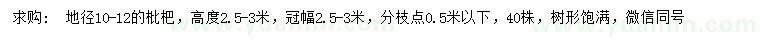 求购地径10-12公分枇杷