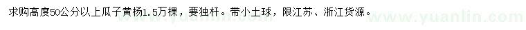 求购高50公分以上瓜子黄杨