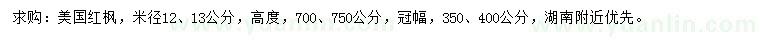 求购米径12、13公分美国红枫