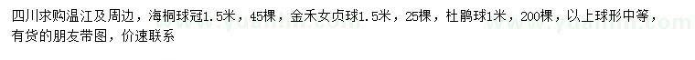 求购海桐球、金禾女贞、杜鹃球