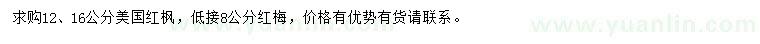 求购12、16公分美国红枫、8公分红梅