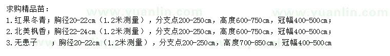 求购红果冬青、北美枫香、无患子