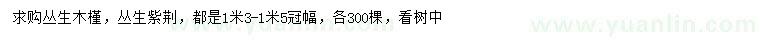 求购冠幅1.3-1.5米丛生木槿、丛生紫荆