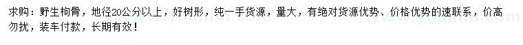 求购地径20公分以上野生枸骨