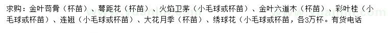 求购金叶苟骨、萼距花、火焰卫茅等