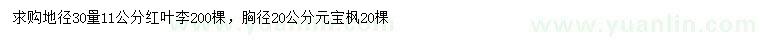 求购地径30量11公分红叶李、胸径20公分元宝枫