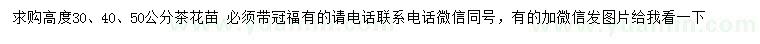 求购高30、40、50公分茶花苗