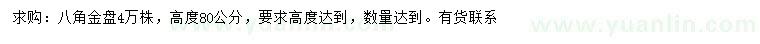 求购高80公分八角金盘