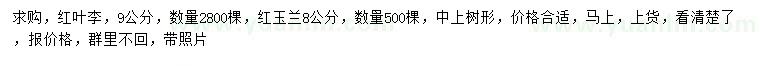 求购9公分红叶李、8公分红玉兰