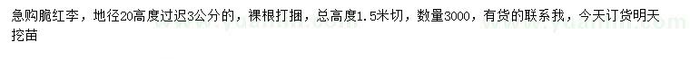 求购地径20公分量高3公分脆红李