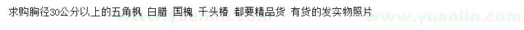 求购五角枫、白腊、国槐等