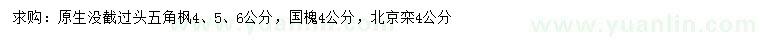 求购五角枫、国槐、北京栾