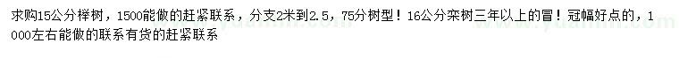 求购15、16公分榉树