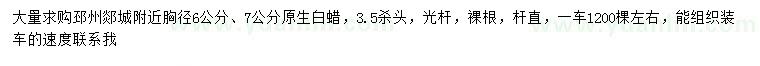 求购胸径6、7公分原生白蜡