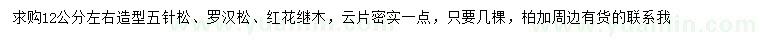 求购造型五针松、罗汉松、红花继木