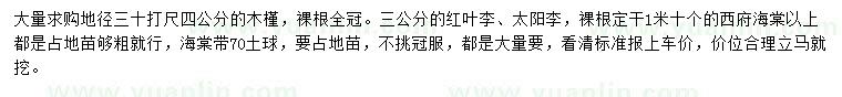 求购木槿、红叶李、太阳李等