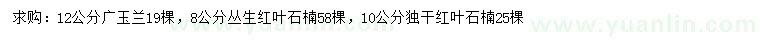 求购广玉兰、丛生红叶石楠、独干红叶石楠