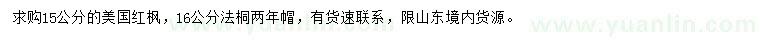 求购15公分美国红枫、16公分法桐